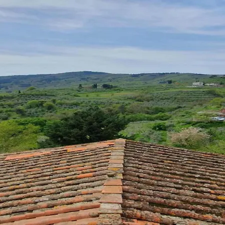 Spacious With Swimming Pool Cavriglia